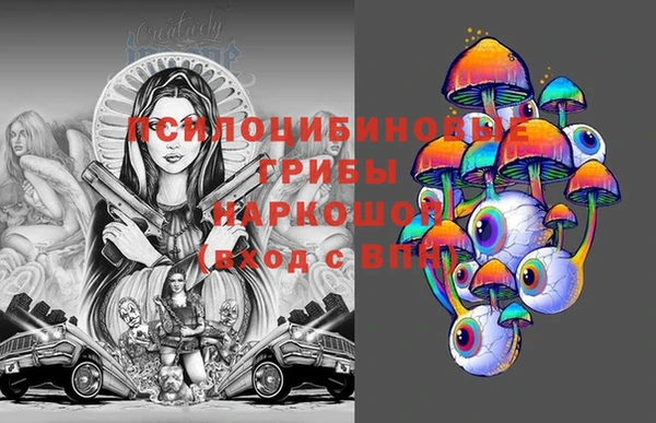 круглые Белокуриха