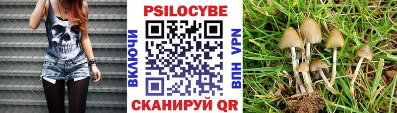 Галлюциногенные грибы Cubensis  Калининец 